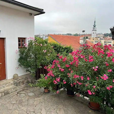 Hotel Joseph 1699 4*